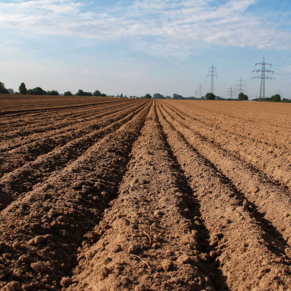 Healthy agricultural soil