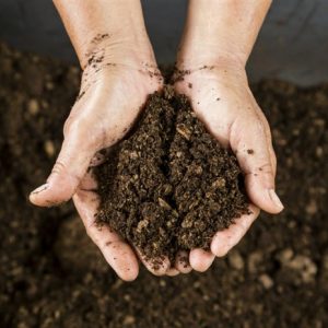 A person holding soil in the palm of their hand