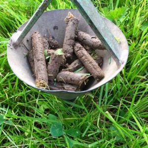 Image of soil corer taking a soil sample in a field of grass
